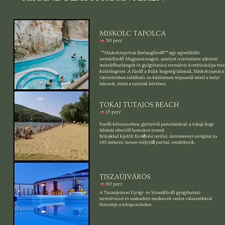 Furmint Apartmán *
