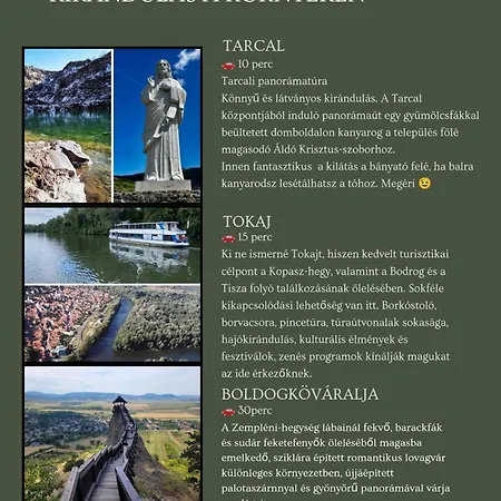 Furmint Szegi